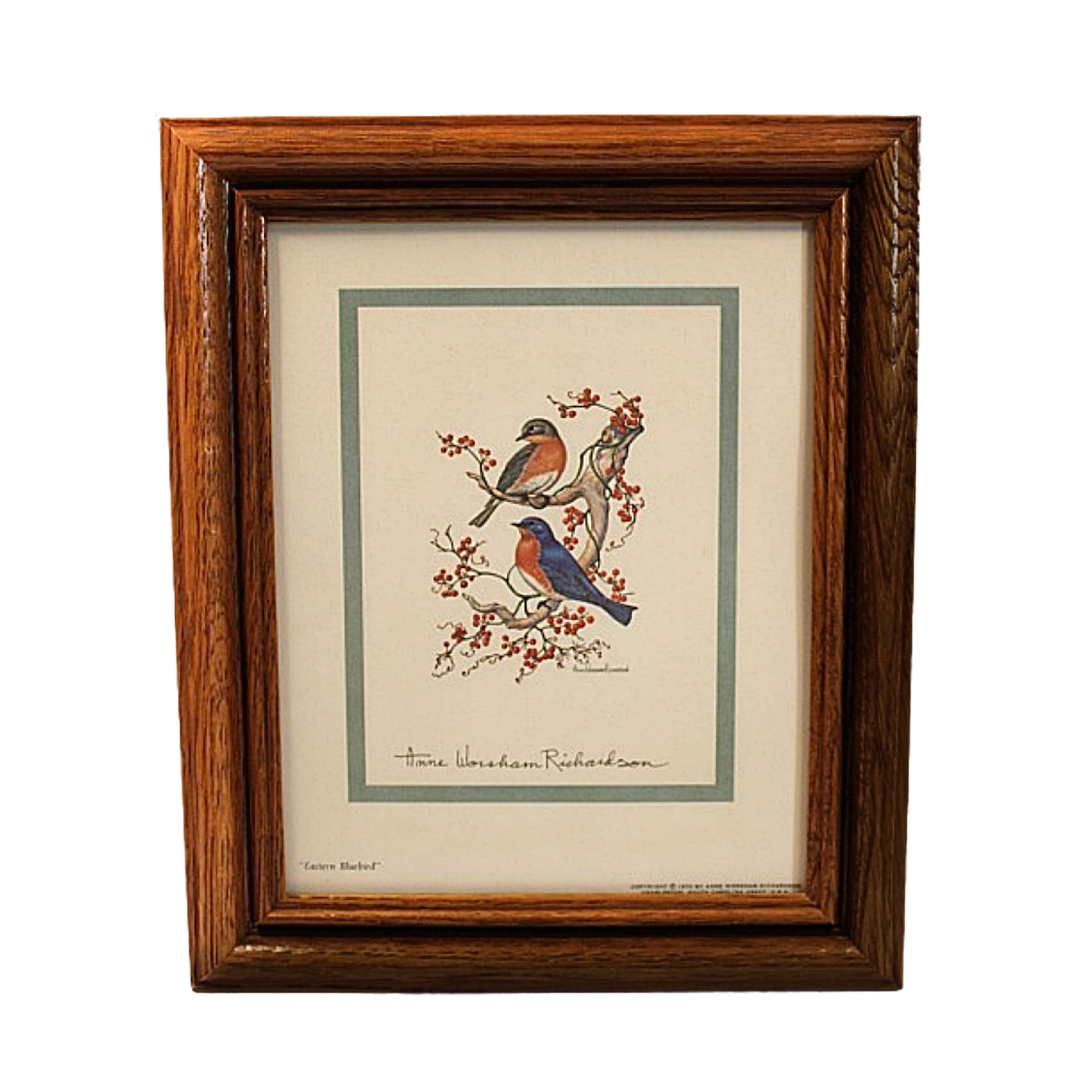 Framed artwork of birds on a branch with red berries-Anne Worsham Richardson Bluebirds Print