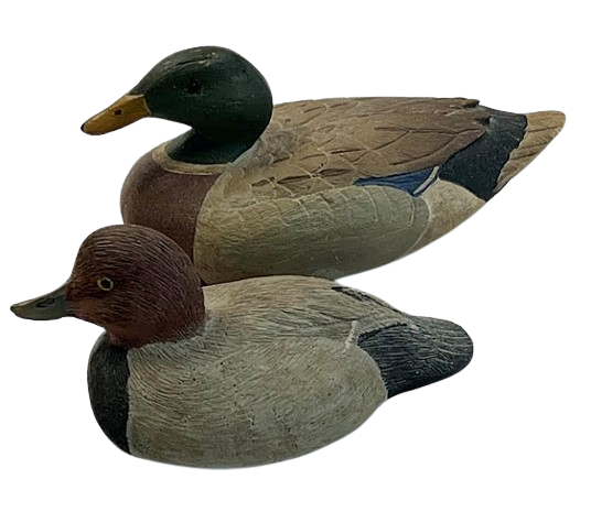 Decoys & Other Birds