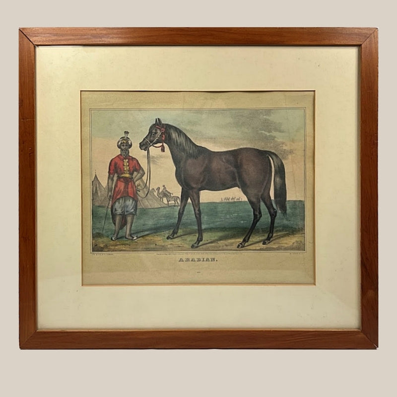 RARE N. CURRIER Framed Original ARABIAN Lithograph Hand Colored