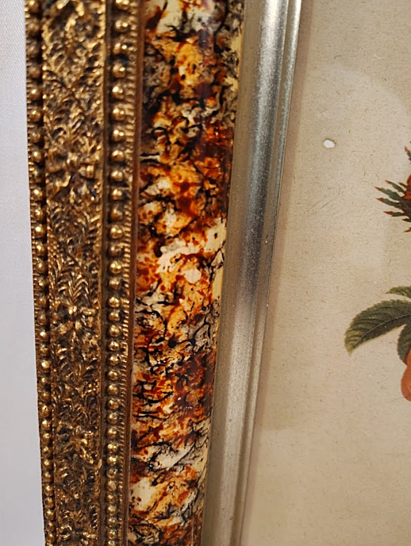 Faux Tortoise and Gilt Antique Picture Frame close up