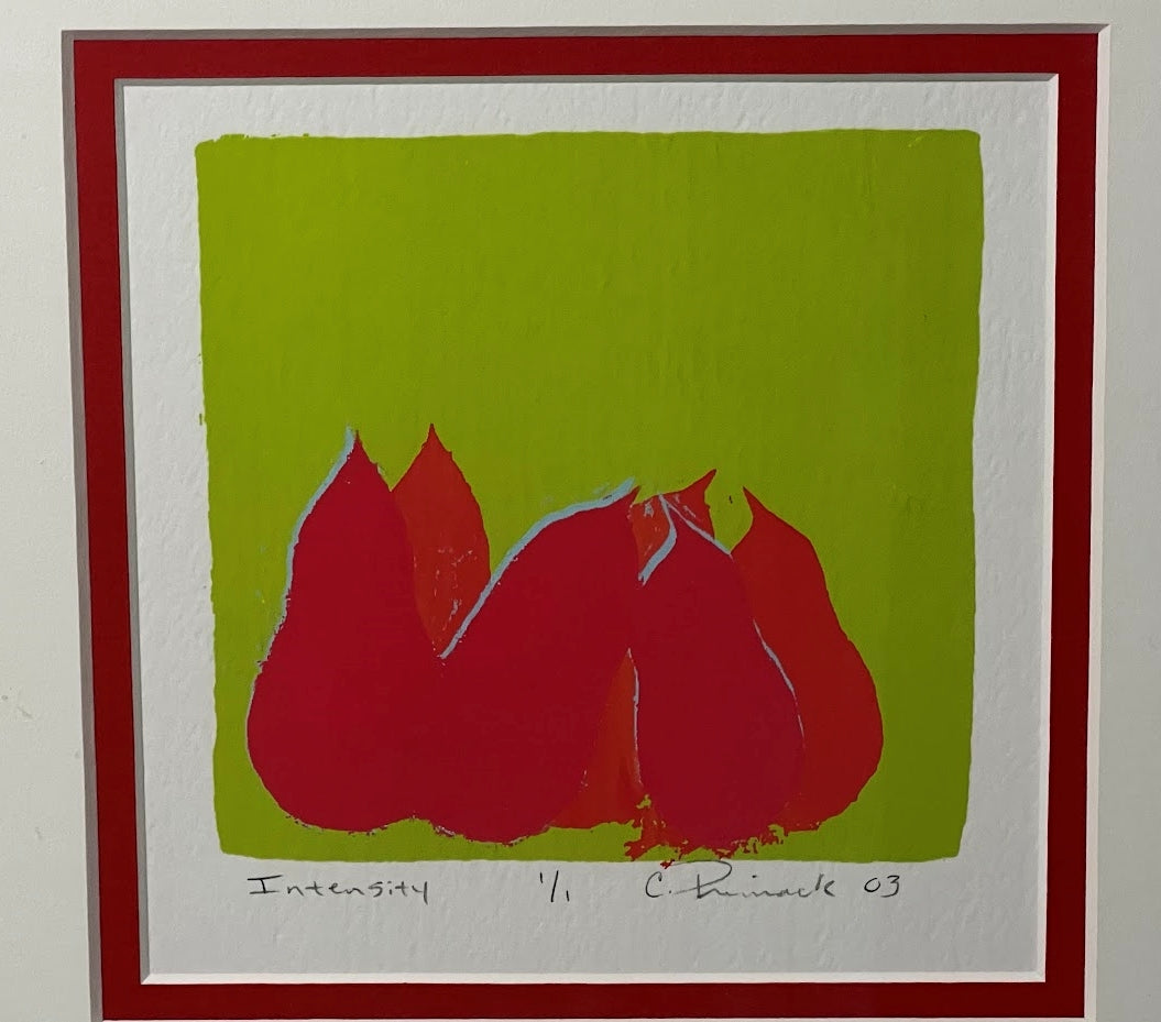 Oregon Artist Candace Primack Framed Print