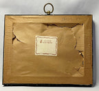 Antique Framed Print of Velvet Scoter
