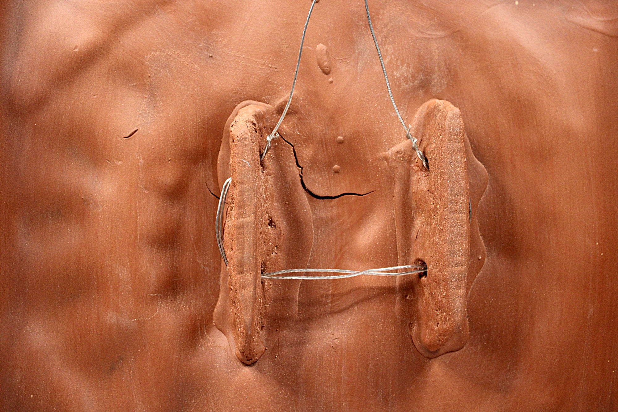 Ceramic Art Wall Tile by Chris Gryder