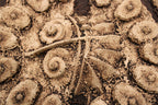 Ceramic Art Wall Tile by Chris Gryder