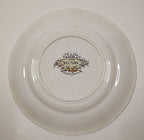 French Antique Sarreguemines Plate