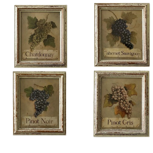 Four Wine Grapes Prints Made in France