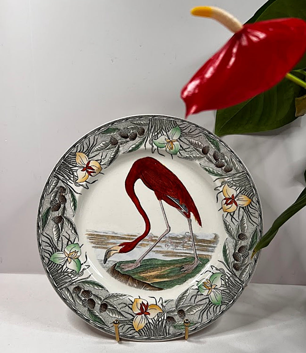 Antique Audubon Flamingo Plate 10 Inches