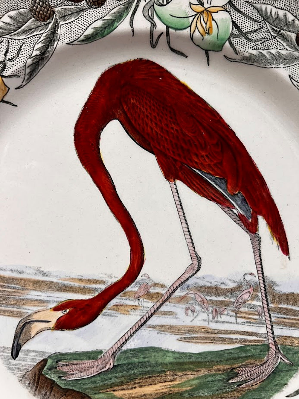 Antique Audubon Flamingo Plate 10 Inches