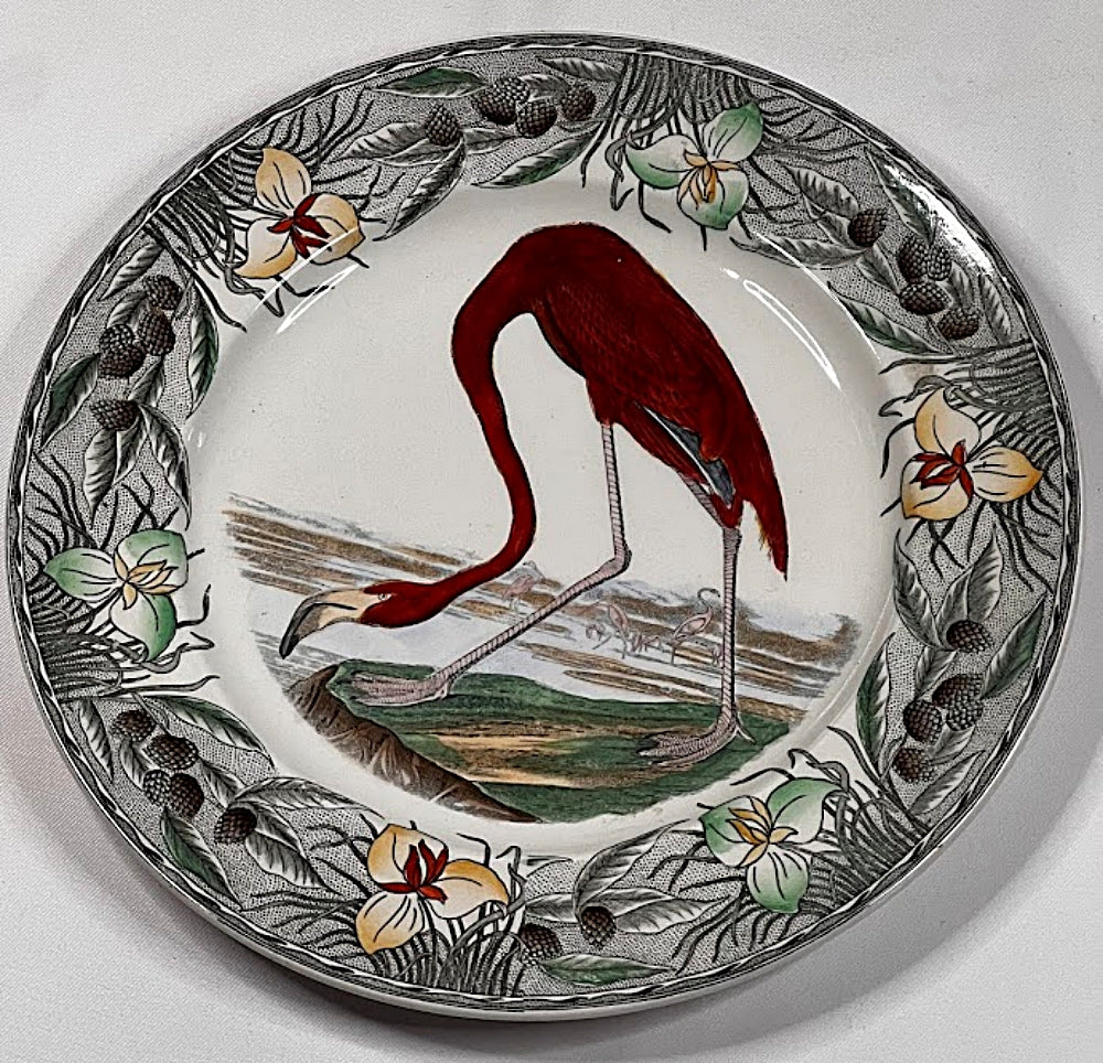 Antique Audubon Flamingo Plate 10 Inches