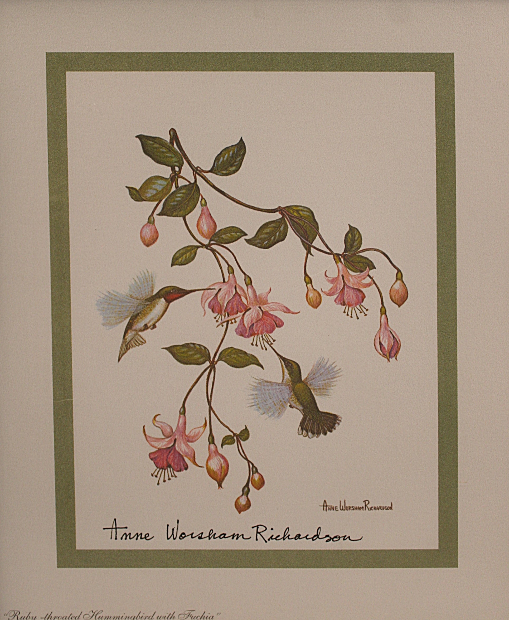 Hummingbirds Lithograph by Anne Worsham Richardson