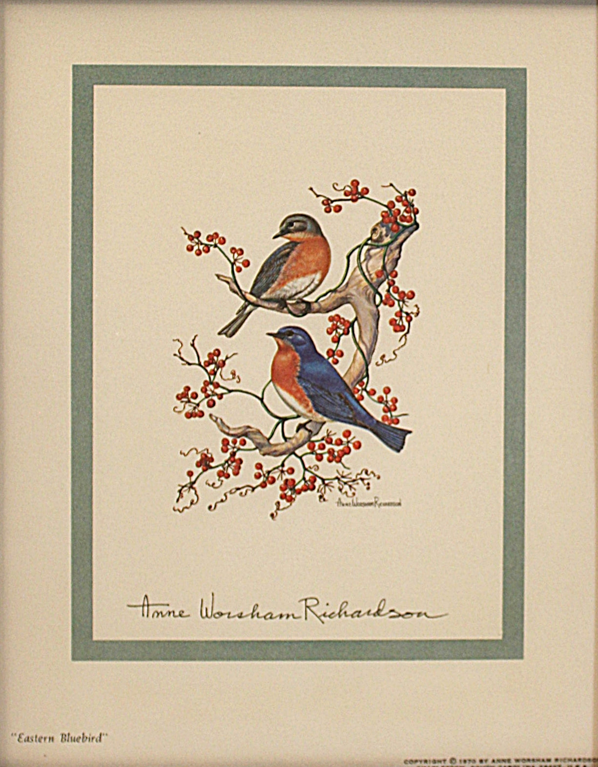Illustration of two birds on a branch with red berries, signed 'Anne Worsam Richardson' Bluebirds Print
