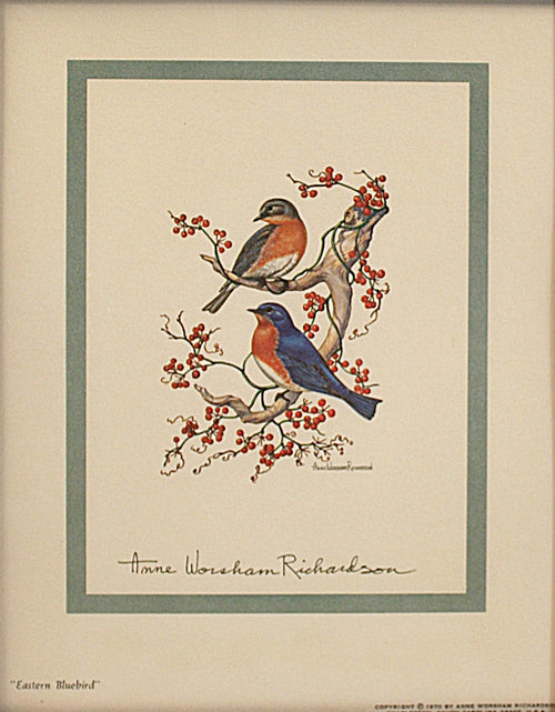 Illustration of two birds on a branch with red berries, signed 'Anne Worsam Richardson' Bluebirds Print