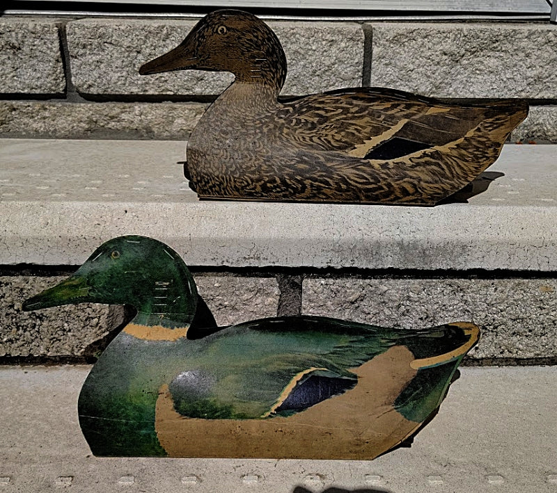 Johnsons Folding Duck Decoys on Steps