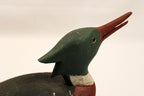 Red Breasted Merganser Drake Decoy Signed CWW