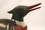 Red Breasted Merganser Drake Decoy Signed CWW