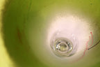 Chartreuse Art Glass Vase by Earl O. James