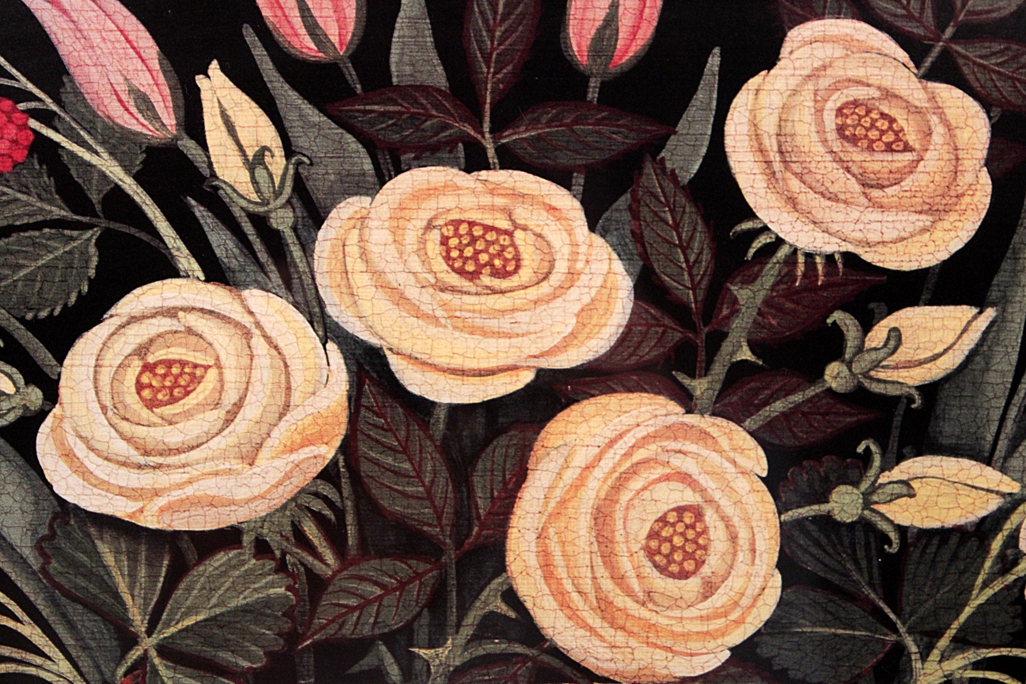 Close-up of a floral pattern with beige flowers and green leaves on a dark background