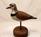 Shorebird Decoy Semipalmated Plover Gregg Ewell Carving 1981 Delaware Looking Left