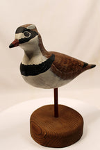 Shorebird Decoy Semipalmated Plover Gregg Ewell Carving 1981 Delaware Looking left front