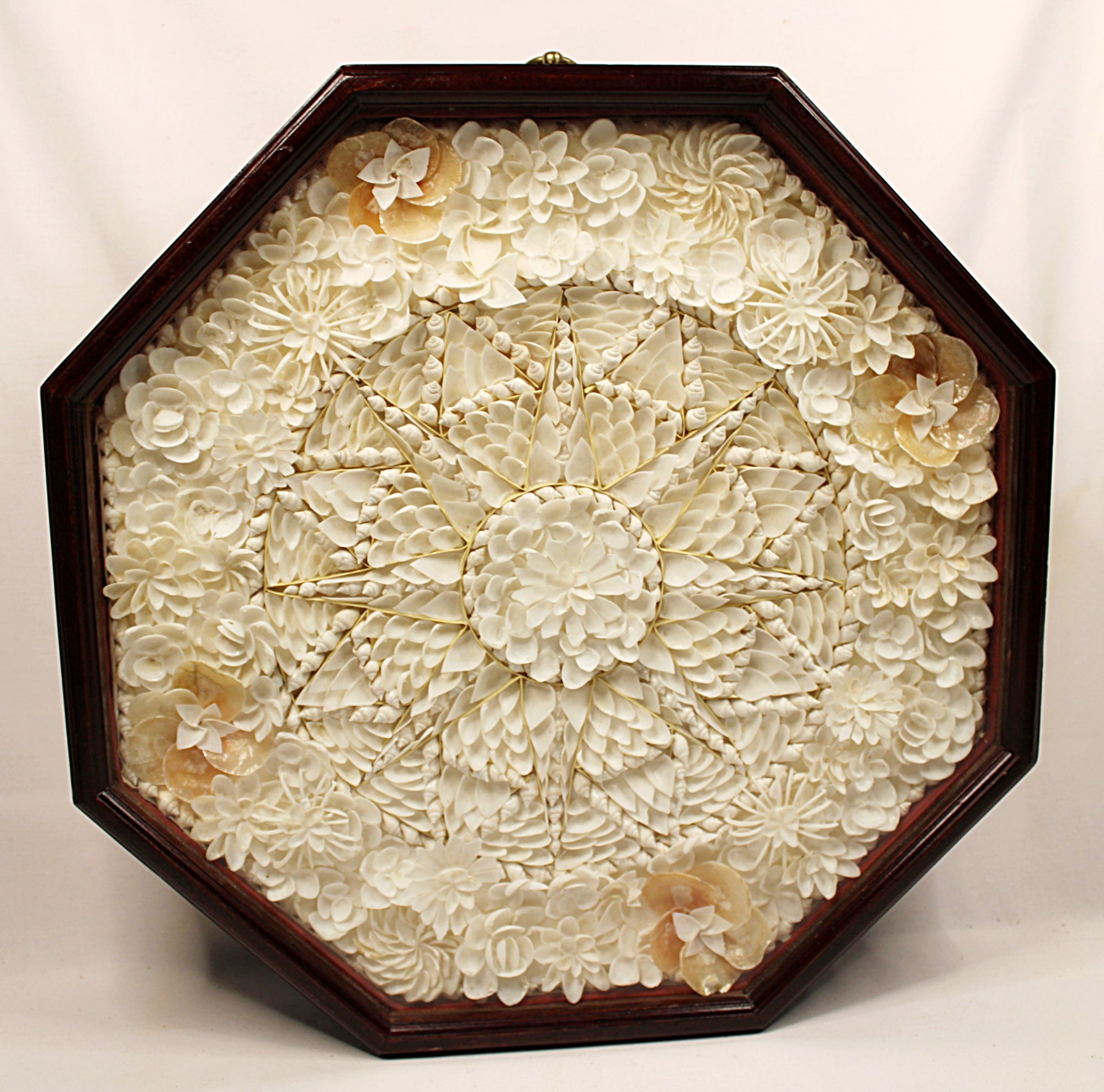 Sailor's Valentine Handmade with Seashells and Mahogany Decorative wall art with floral patterns in a wooden frame on a plain background