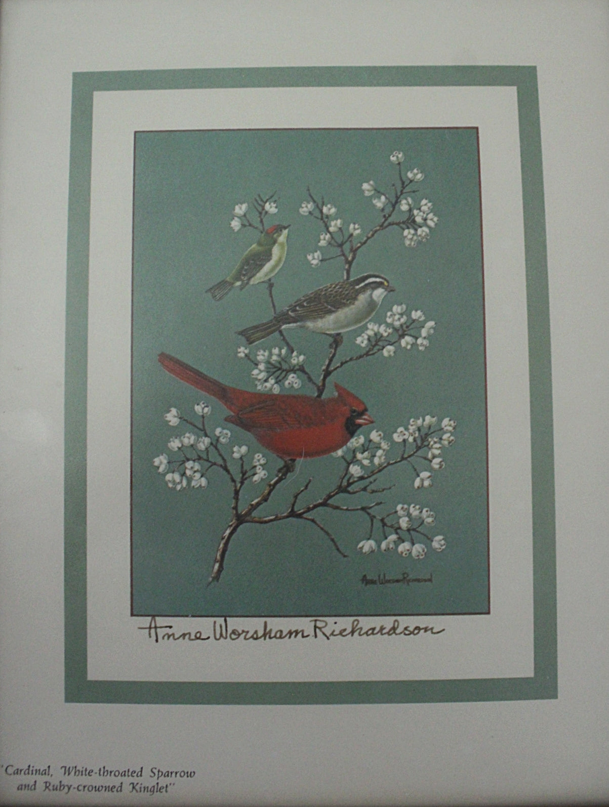  Lithograph Anne Worsham Richardson Three Birds on a Branch full view no frame