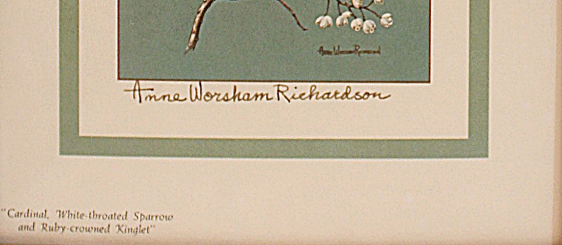 Framed  Lithograph Three Birds by Anne Worsham Richardson - Charleston Bird Lady