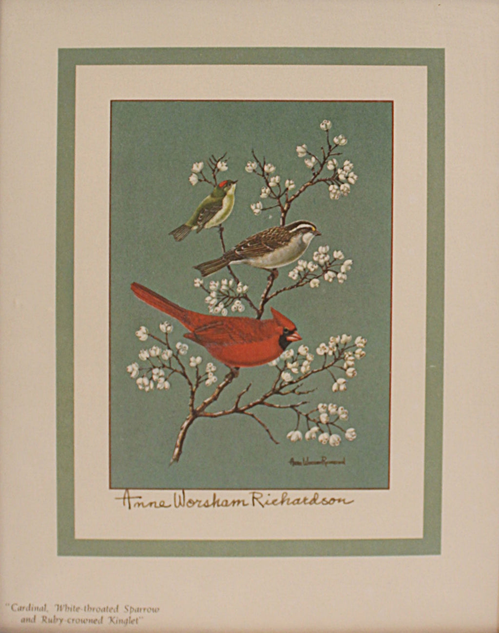  Lithograph Anne Worsham Richardson Three Birds on a Branch - shown without frame