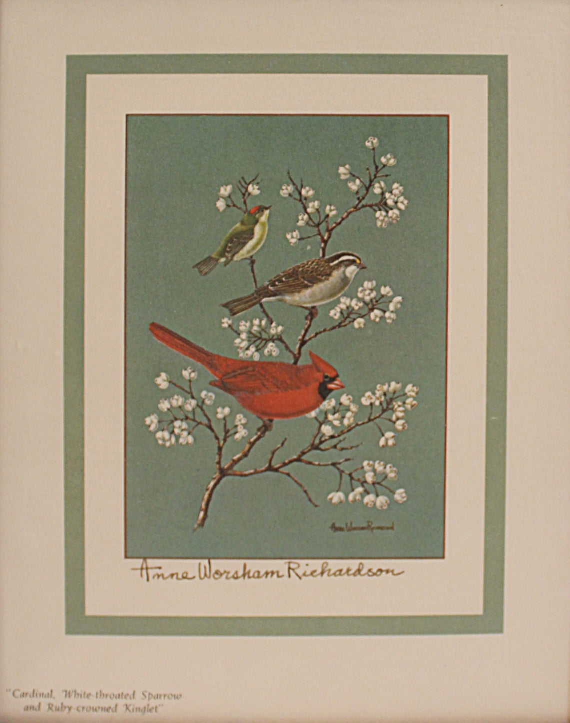  Lithograph Anne Worsham Richardson Three Birds on a Branch - shown without frame