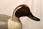 Wooden duck decoy with brown head and black bill on a plain background Facing Right