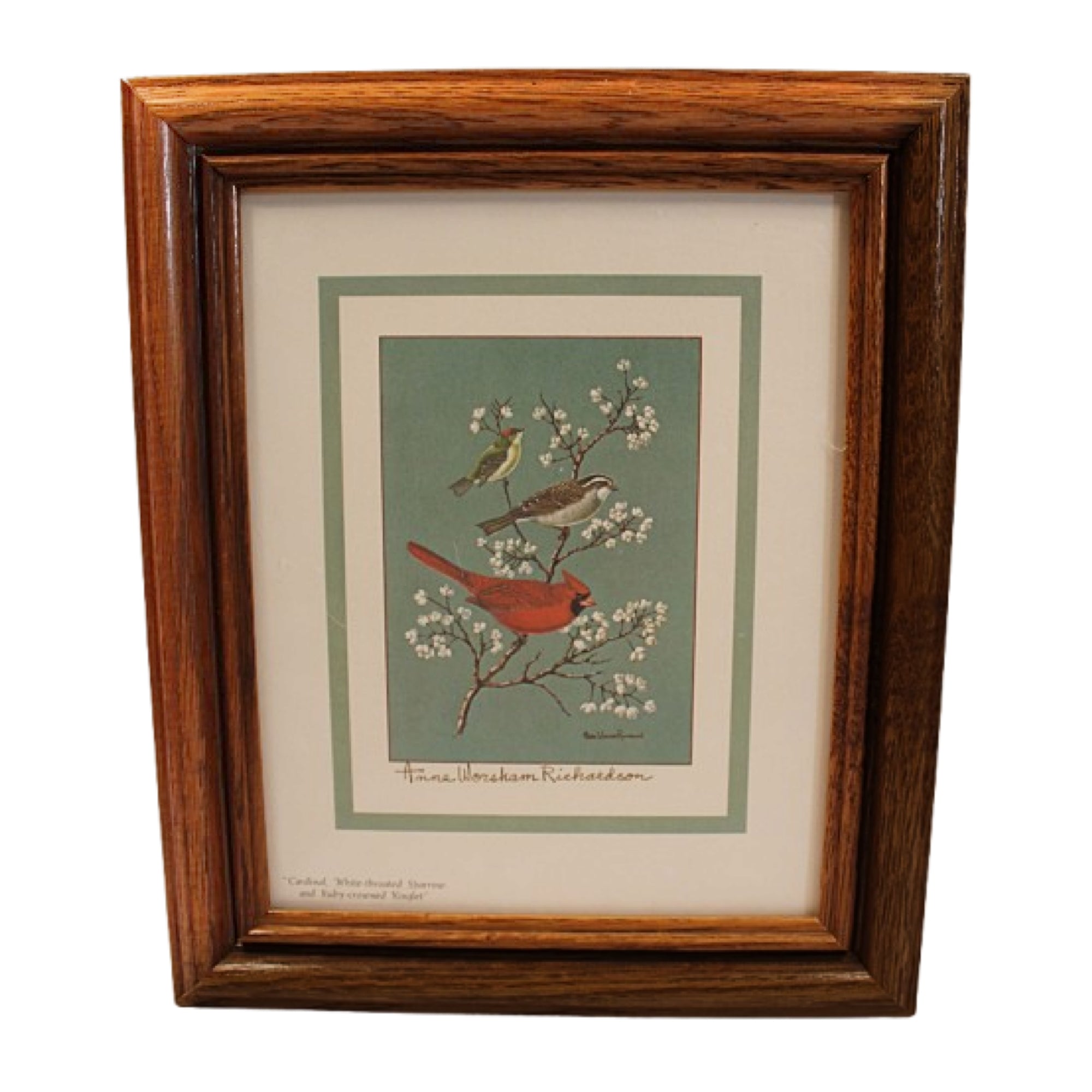 Vintage -A_ANNE WORSHAM RICHARDSON Bird Print Pencil Signed Framed with Handwritten Dedication-Cardinal-A-PYH-2000 x 2000